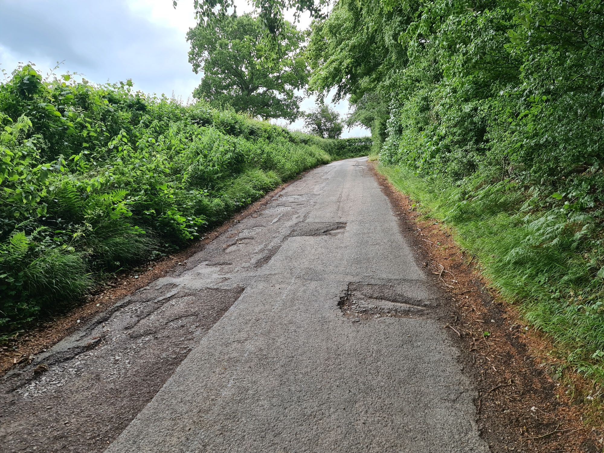 Smalldean cycling climb in the Chilterns hills