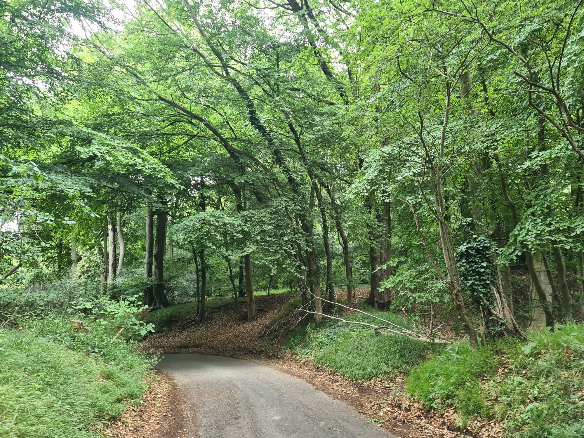 Top 10 toughest cycling climbs of the Chilterns Massif