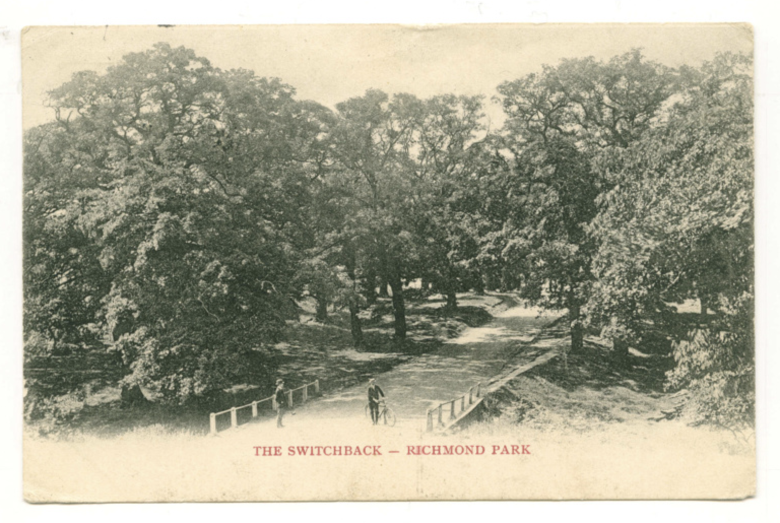 Cycling in Richmond Park