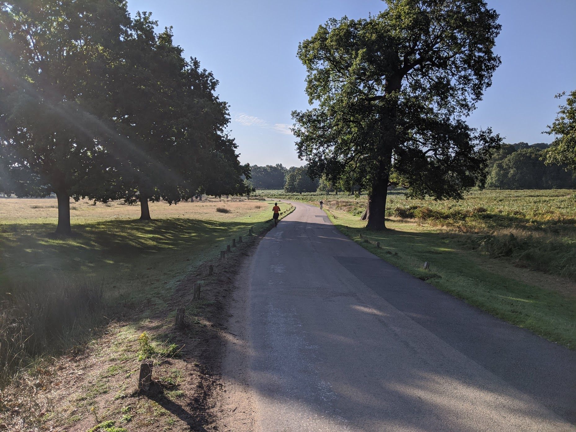 Cycling in Richmond Park