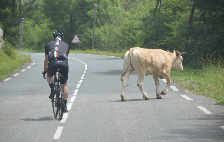 The Raid Pyrenean