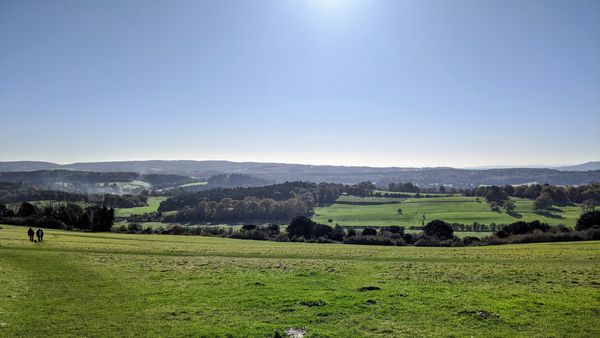 Down the Downs Link