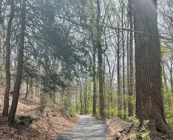 Brandywine Valley Roubaix